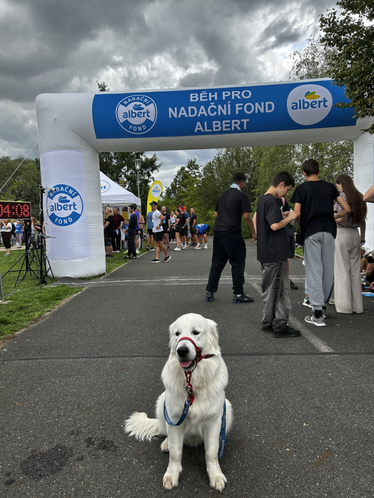 26-09-beh-albert