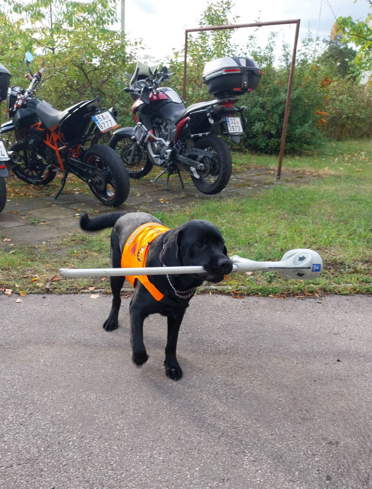 25-09-alfi