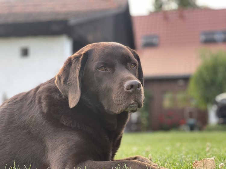 25-07-elsa