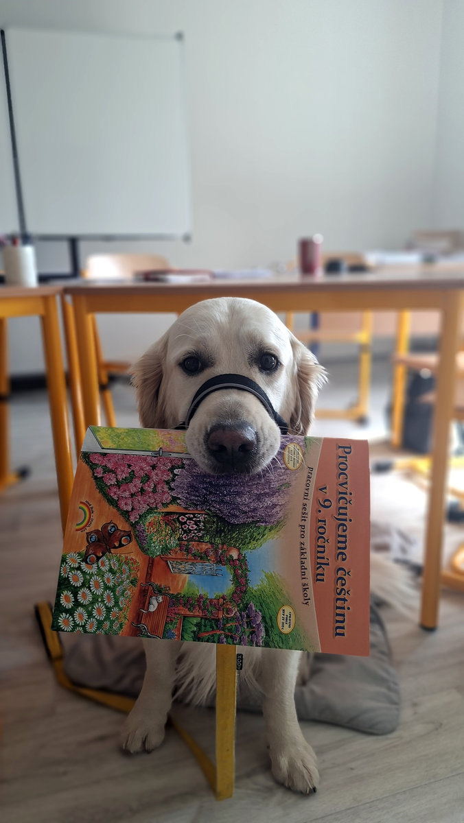 26-09-figo-skola