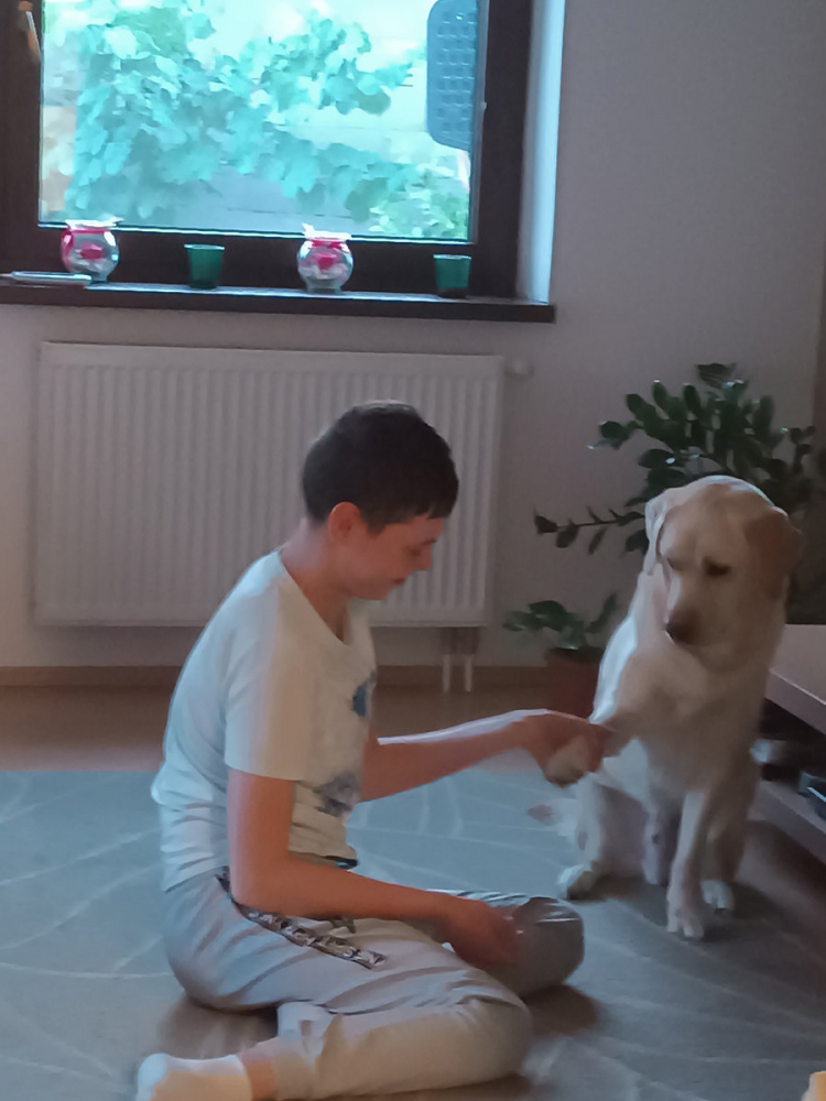26-08-hugo