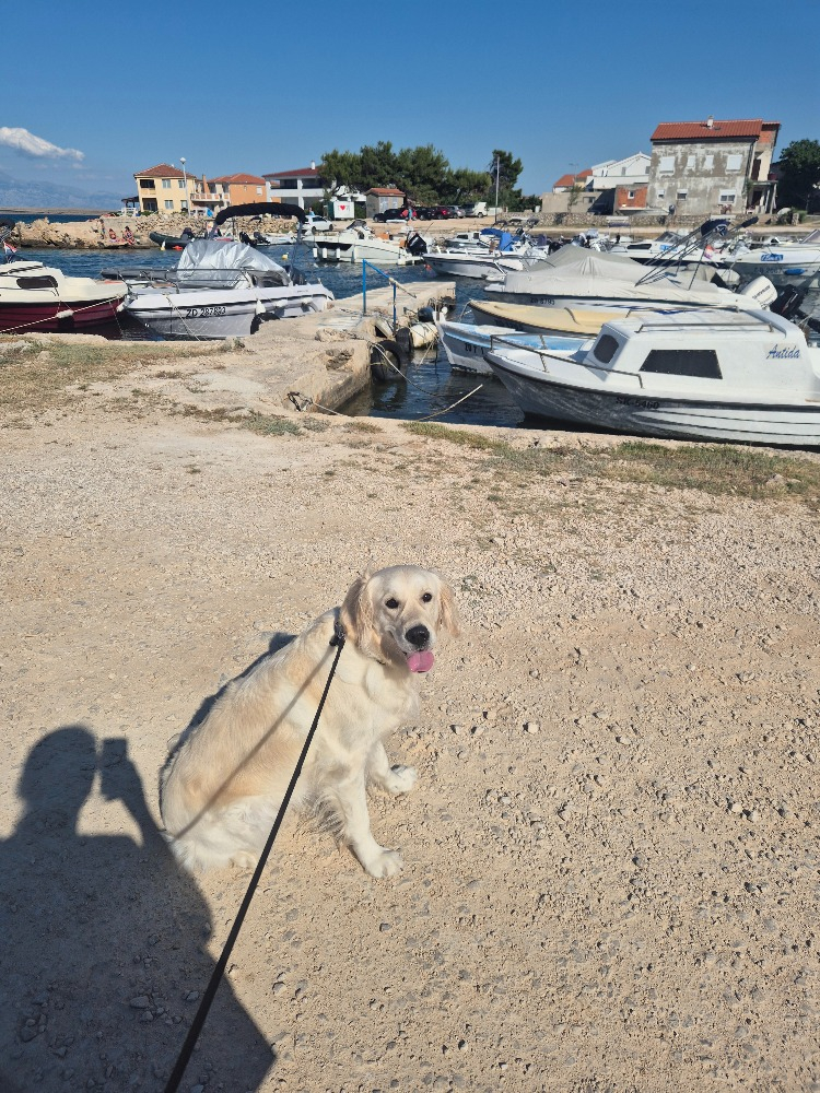 26-08-marci