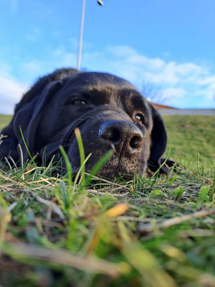 24-10-oliver