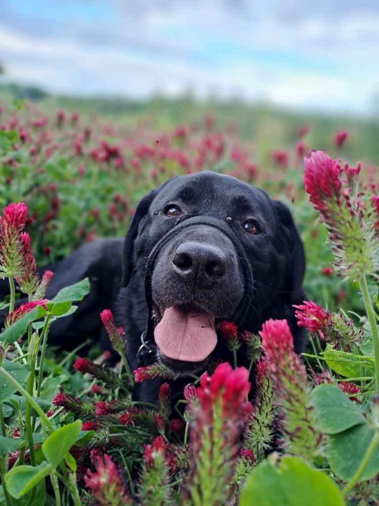 24-10-oliver