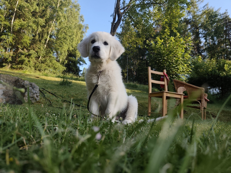 25-07-oreo