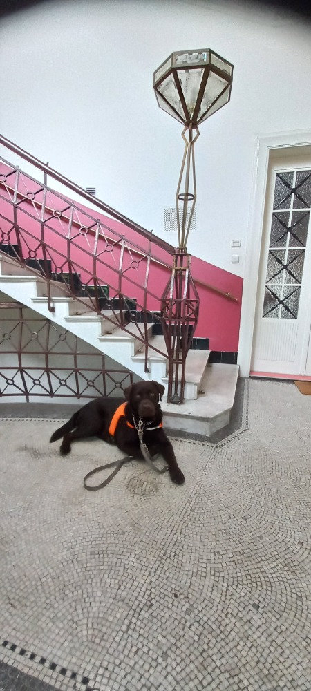 25-07-rambo