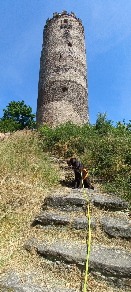 25-08-rambo