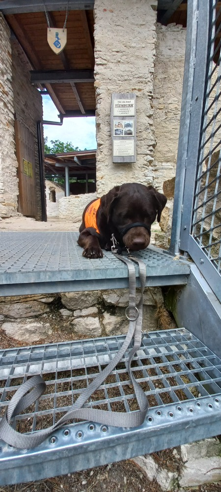 25-08-rambo