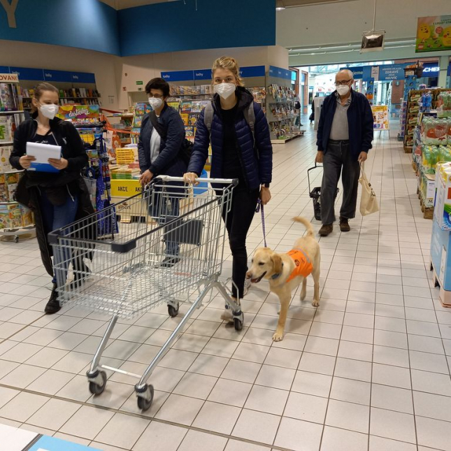 Kontrola části štěňat