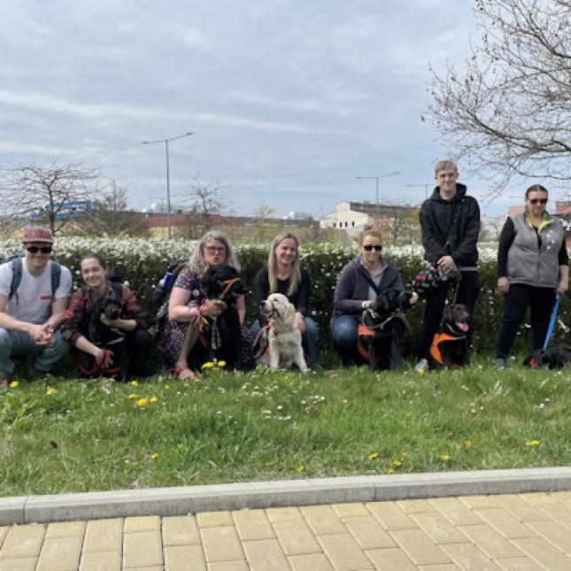 Jarní kontrolní sraz štěňat ve výchově