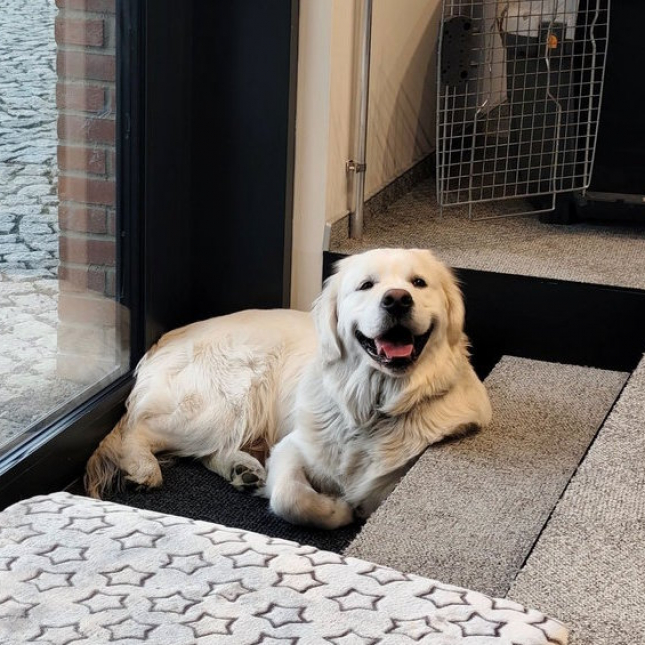 Orea kontakt s lidmi naplňuje