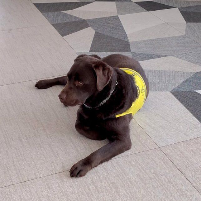 První setkání Ramba s budoucí paničkou