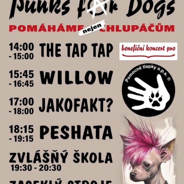 Punks for dogs