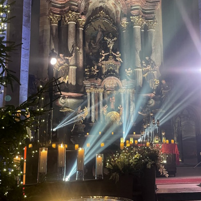 Adventní koncert ČT: Přes tři miliony korun pro Pomocné tlapky! Děkujeme