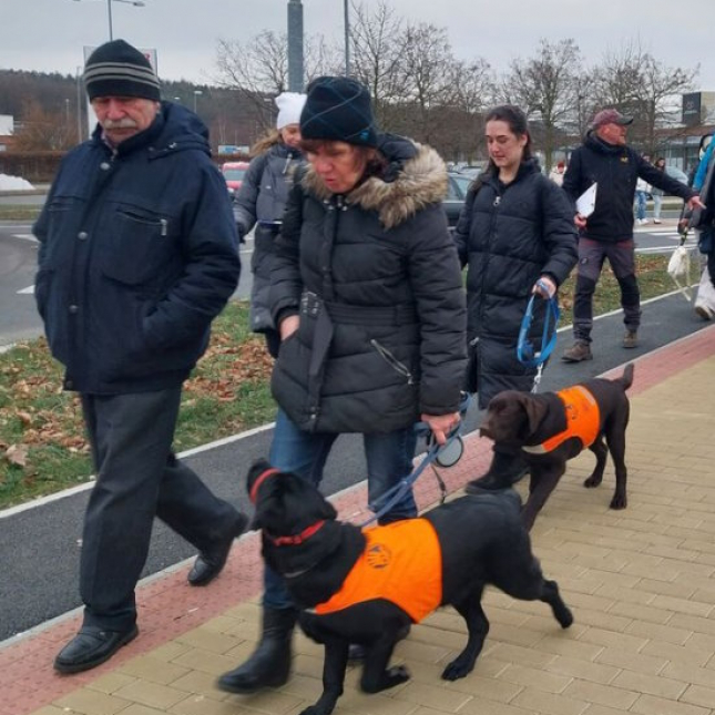 Sraz štěňat leden 2024