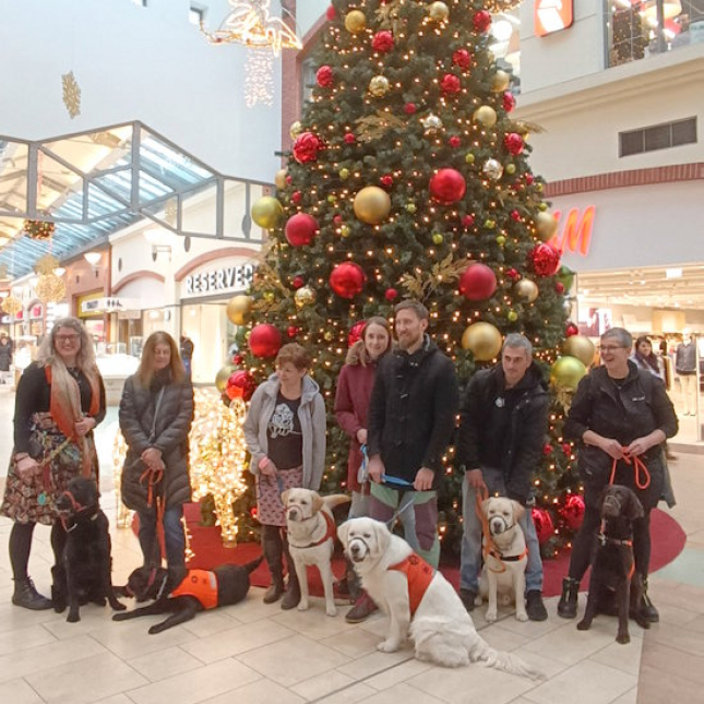 Na povánoční sraz štěňátek dorazilo 6 dorostenců.