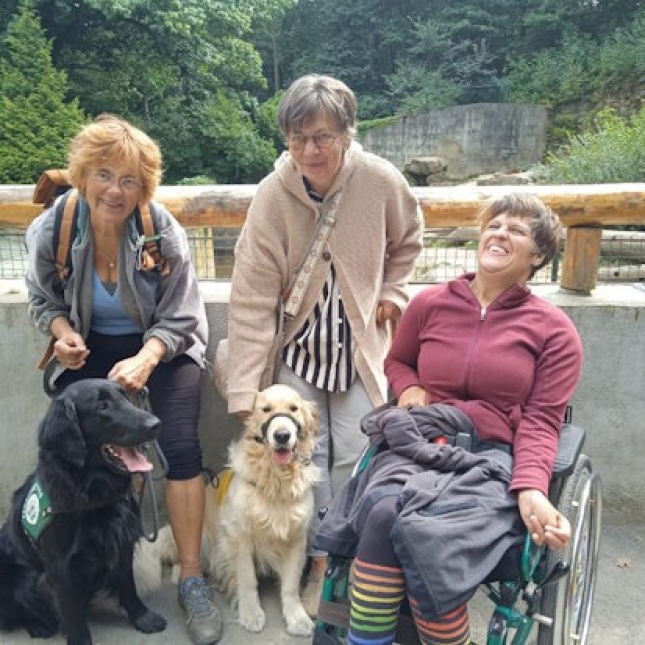 Gucci a poslední půlrok