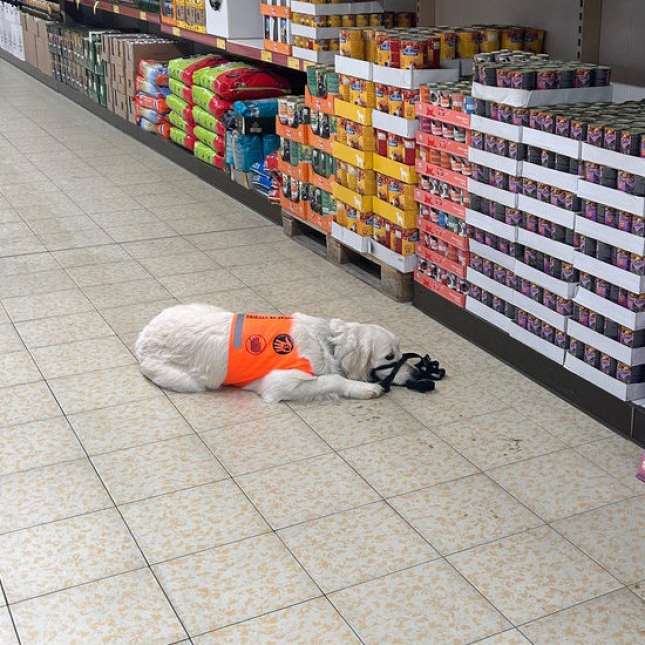 Jedenáctiměsíční Nina Ricci