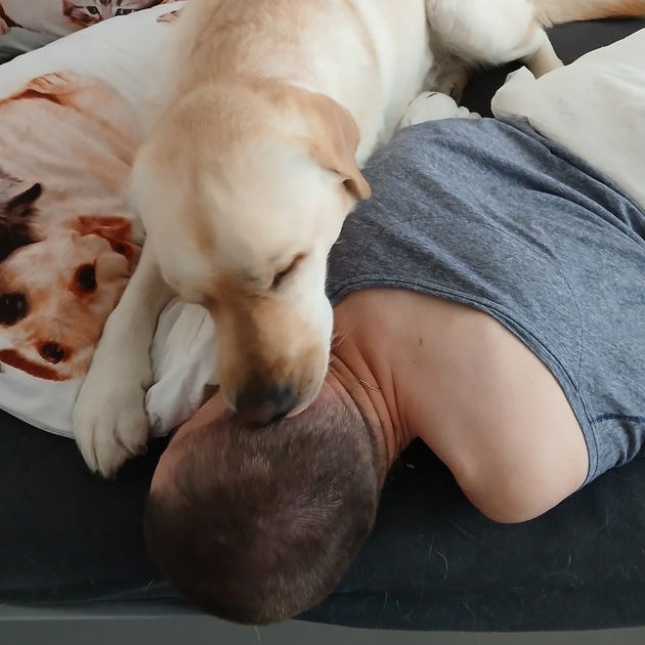 Dantik změnil celý náš život