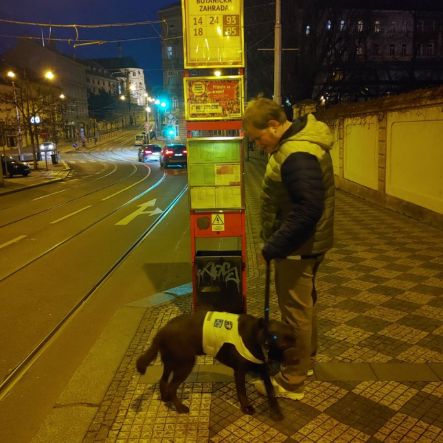 Tira je věrný společník a velký cestovatel