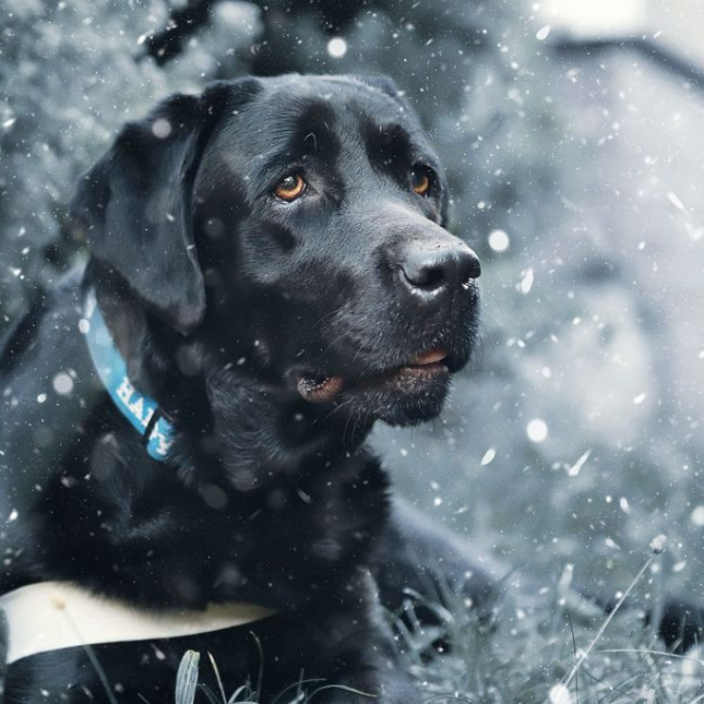 Vzpomínka na advent s Vandou