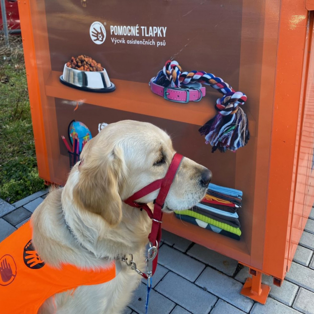 Chanel na vycházce a reklama na Pomocné tlapky