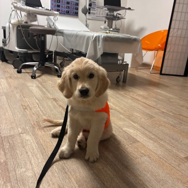 Čtyřměsíční Philip Moris