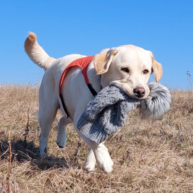 Simba je občas k neudržení