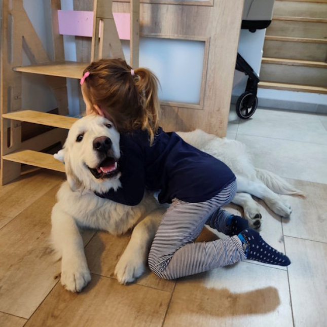 Oreo a bílá pokrývka