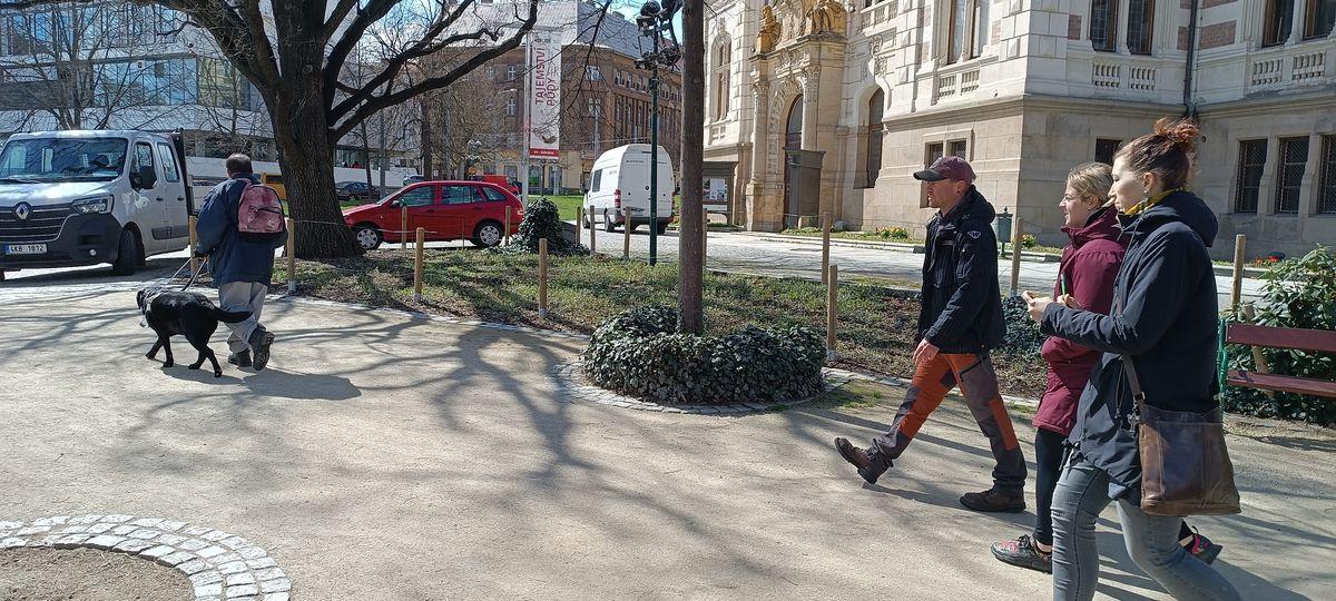 Bibi s panem Brožkem při rekondiční zkoušce za dohledu trojice trenérů.