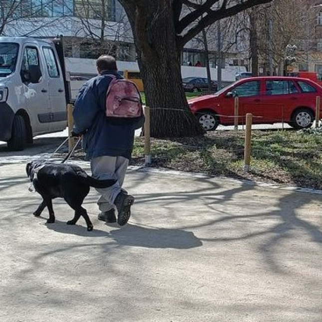 Bibi na rekondiční zkoušce