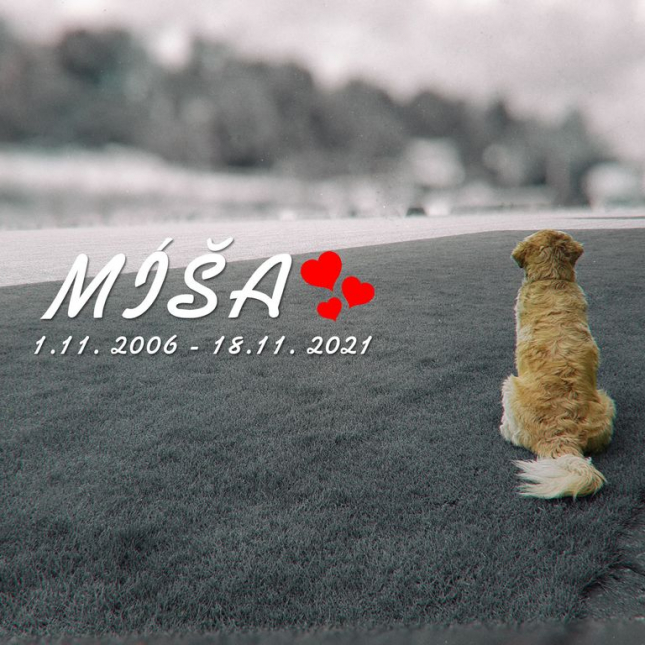 Smutná zpráva