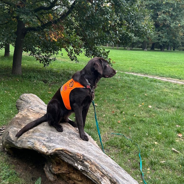 Pozdrav ze Stromovky