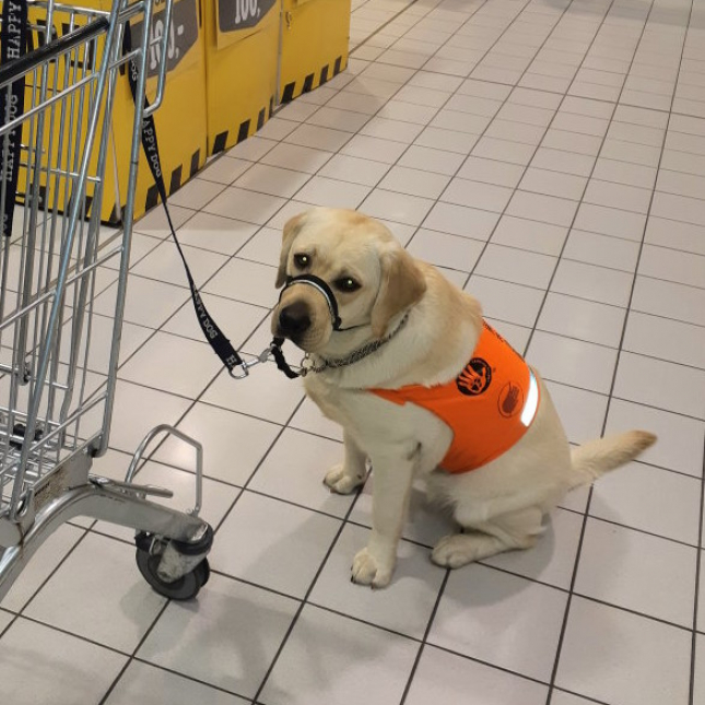 Naše cesta s Peggy