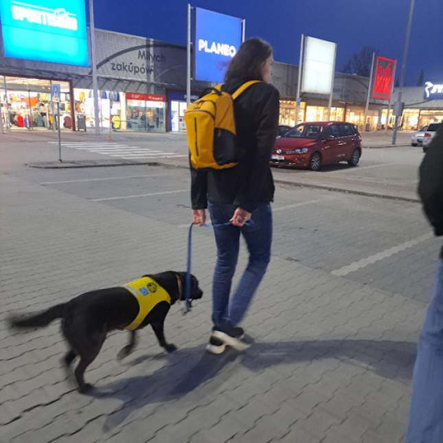 Hektický půlrok s Koopi