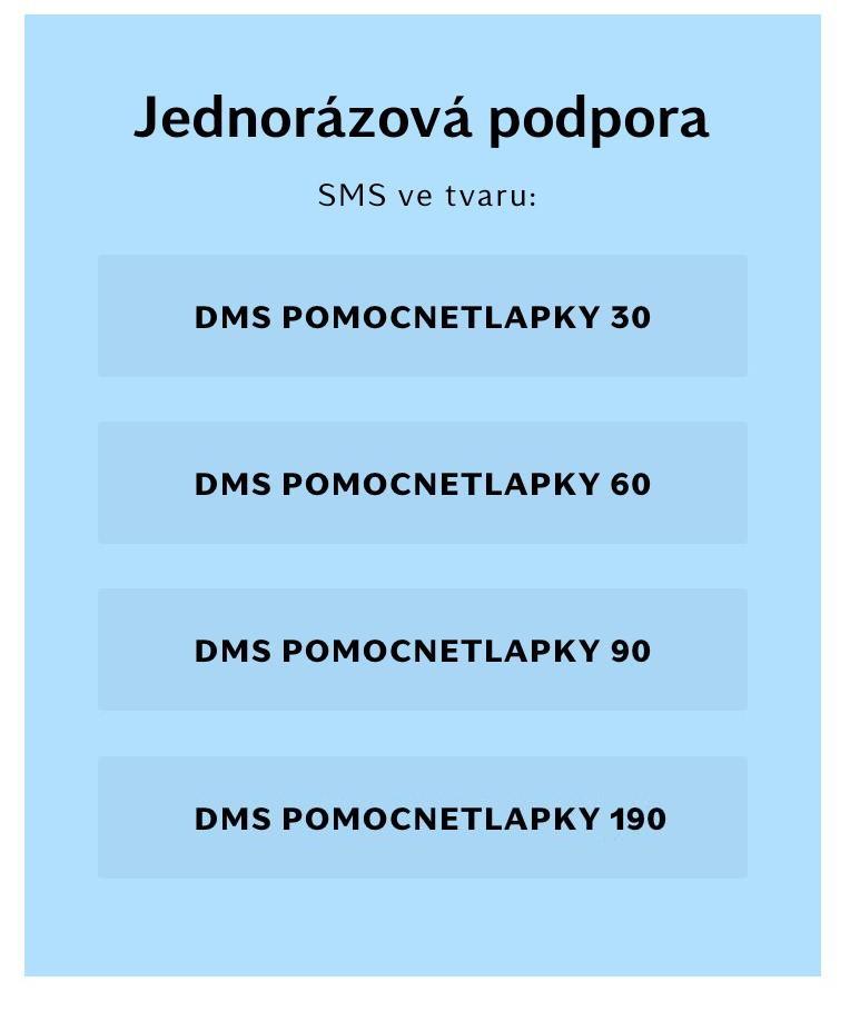 Jednorázová podpora